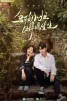 Мисс Ворона и мистер Ящерица смотреть онлайн сериал 1 сезон